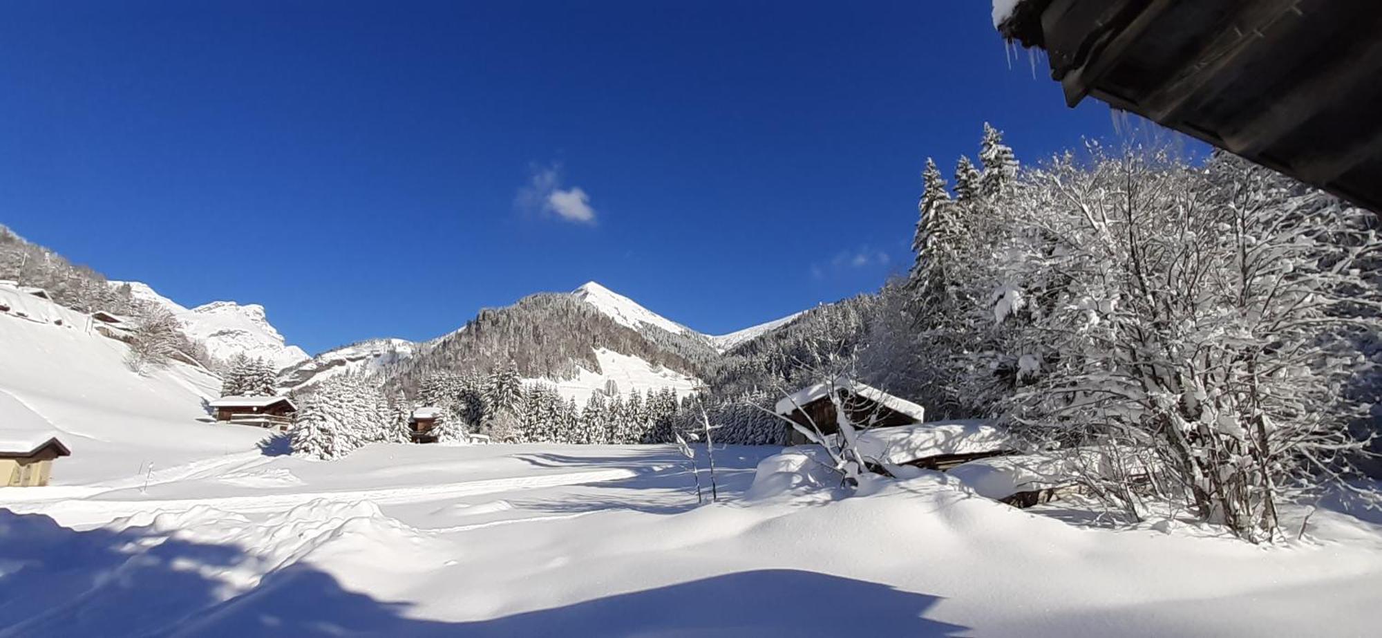 Chalet L'Armoy La Giettaz Dış mekan fotoğraf